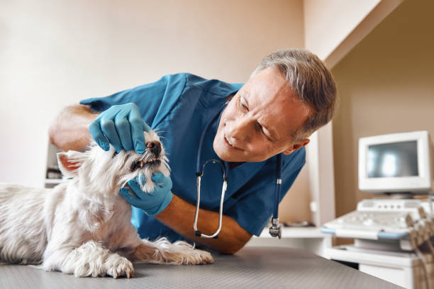 Best Walk-In Emergency Dentist in Killian, LA