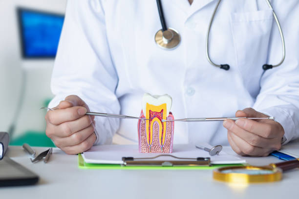 Best Emergency Orthodontic Repairs in Killian, LA